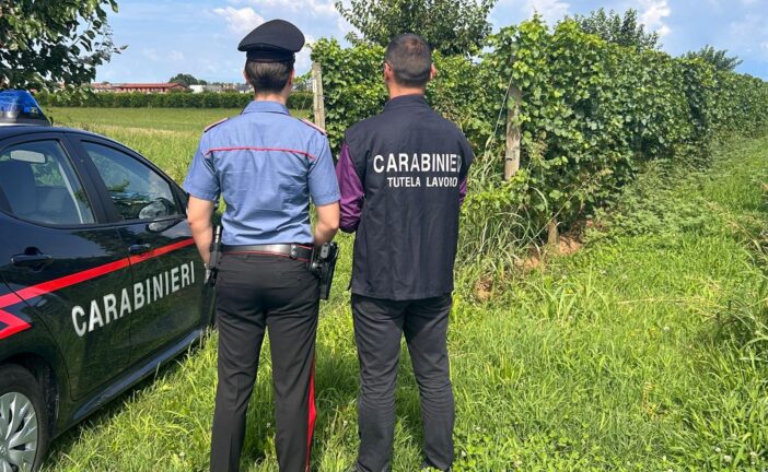 Contrasto al caporalato: 9 aziende controllate dai Carabinieri