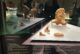 Chianciano protagonista alla mostra “Etruschi e Veneti. Acque, culti e santuari” alla Fondazione Luigi Rovati