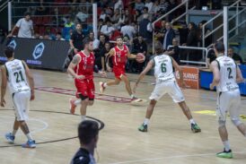 I Bulls sbancano Avellino con una prestazione di sostanza