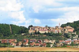Camminata tra gli Olivi a Serre di Rapolano: trekking, olio nuovo e visita alla mostra su Pasolini