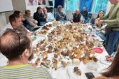 Aperta la stagione dei funghi: tecnici della prevenzione micologi a disposizione per la sicurezza alimentare