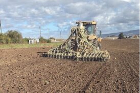 SvernalFar!: la ricerca entra in campo per proteggere il farro toscano dal cambiamento climatico