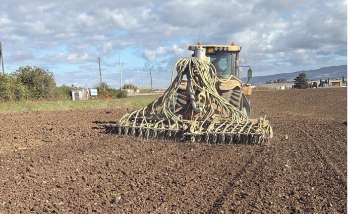 SvernalFar!: la ricerca entra in campo per proteggere il farro toscano dal cambiamento climatico