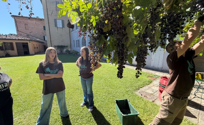 Gli studenti dell’Istituto Agrario vendemmiano nel giardino di Palazzo Sergardi Biringucci