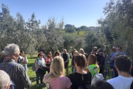 Appuntamento a Montepulciano con la Camminata tra gli Olivi