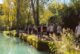 A Colle la Francigena diventa comunità: dai bambini alle esperienze dei territori