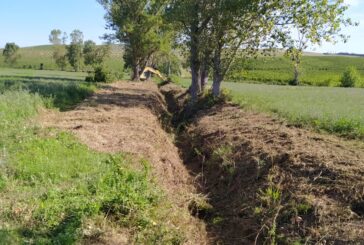 CB6: decespugliato il fosso Addobbi a Montalcino