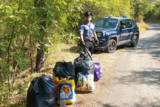 Due arresti e un bivacco di spacciatori smantellato dai Carabinieri