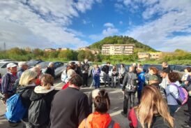 Turismo lento: Poggibonsi “cammina” fra olivi, arte e tradizione francescana