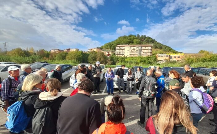 Turismo lento: Poggibonsi “cammina” fra olivi, arte e tradizione francescana