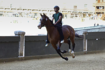 Le prove regolamentate del Palio: fotogallery