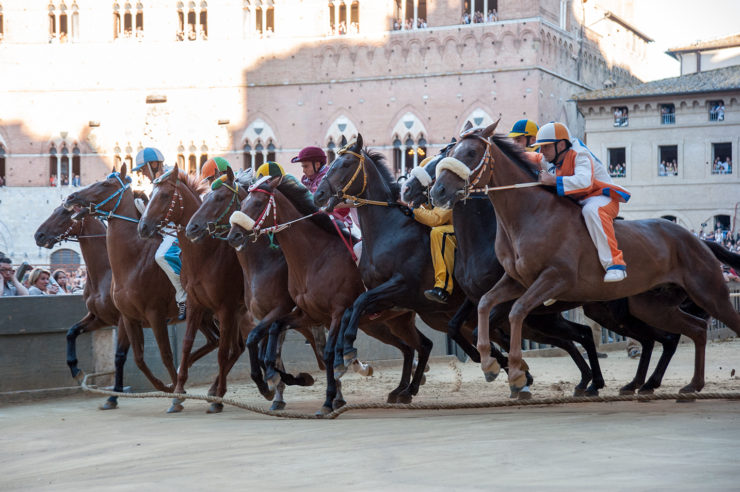 Palio: le immagini della Prova generale