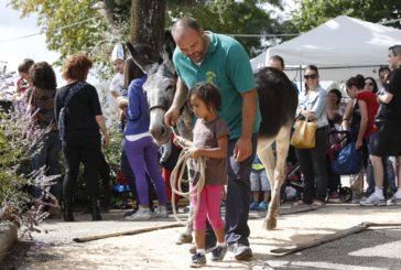 Siena for kids: fotogallery dalla Fattoria