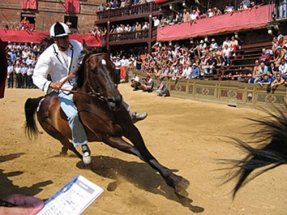 Palio dell’Assunta: i cavalli ammessi alle prove mattutine