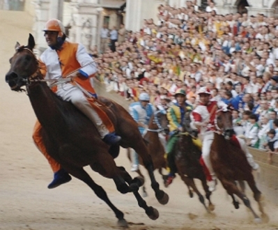 Palio: come iscrivere i cavalli al "cammino verso la carriera"