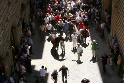 Palio, nei primi pronostici il Nicchio parte in testa