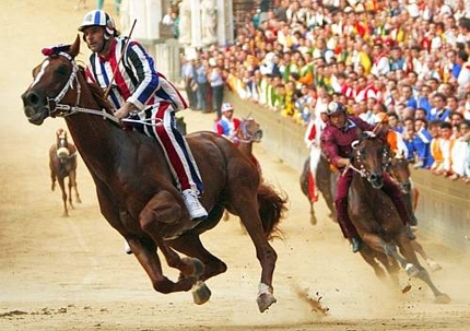 Palio: iniziano le previsite al Ceppo