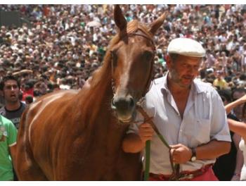 Palio, i probabili protagonisti sul tufo