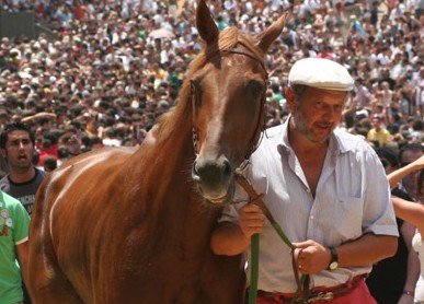 Palio: le modalità di iscrizione dei cavalli