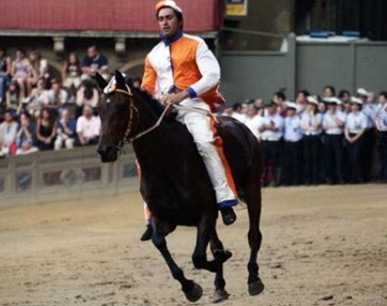 Il Palio in poltrona. Prova generale