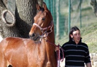 Aperte le iscrizioni alle previsite per il Palio del 2 luglio