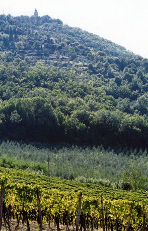Upa soddisfatta del nuovo Cda del Consorzio Brunello