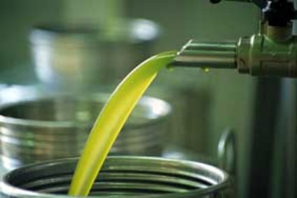 Olio di oliva: proseguono i seminari a Montalcino