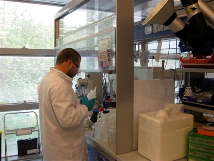 Siena Biotech e Roche: una collaborazione contro l’Alzheimer