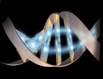 Finanziato uno studio senese sul genoma umano