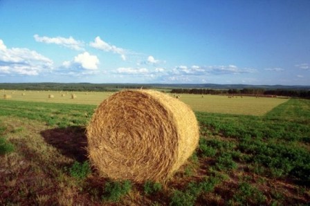 Nuovo corso per gli agricoltori del senese