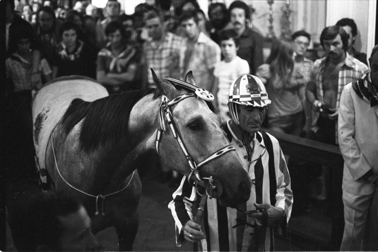 Perché benedire il cavallo in chiesa