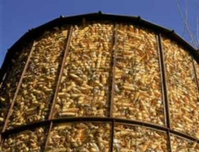 Impianto a biomasse a Sinalunga, la Lega Nord si oppone