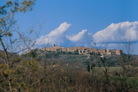 Radicondoli: presentata la relazione delle attività di Belforte