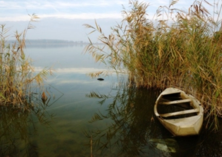 La Provincia interviene dopo "l’atto vandalico" al lago di Montepulciano