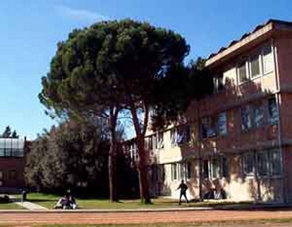 Coccheri e Brogioni (ancora) sul Liceo Volta