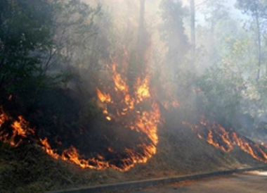 Sinalunga: come evitare di appiccare incendi