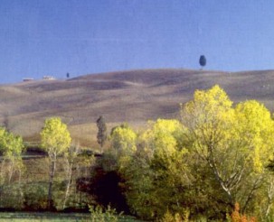 San Quirico in lutto, sospesa la festa del Barbarossa