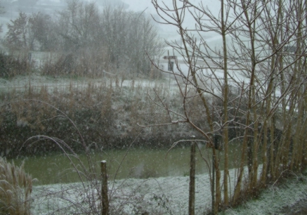 Neve in Valdichiana: la coltre ha superato i cinque centimetri