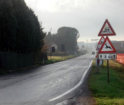 Avvio dei lavori sulla Cassia: la soddisfazione di Taccioli (Pd)