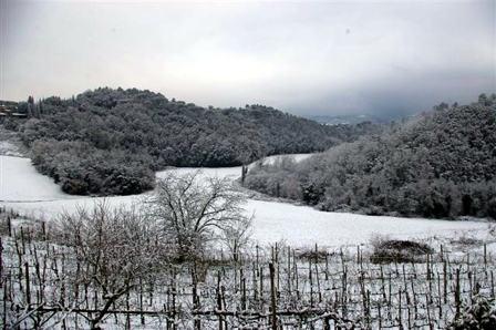 Neve e ghiaccio non fermano Murlo