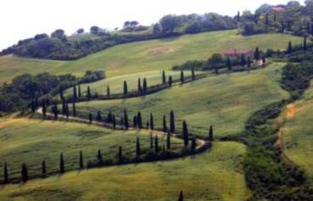 Simonetti commenta la crisi, la Finanziaria 2010 e le iniziative della Provincia di Siena