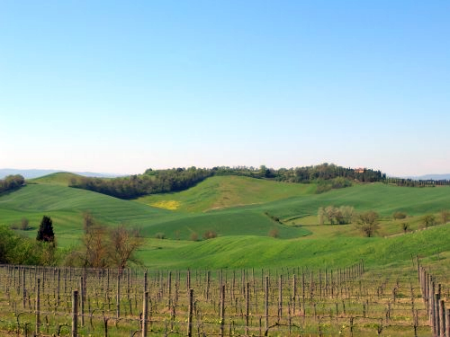 Informagiovani, uno sportello per ogni Comune del Chianti