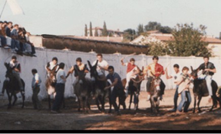 Palio dei ciuchi di Asciano: domani si svela il Palio