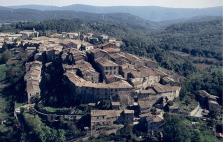 Grandinata di Ferragosto: Monticiano chiede lo stato di calamità