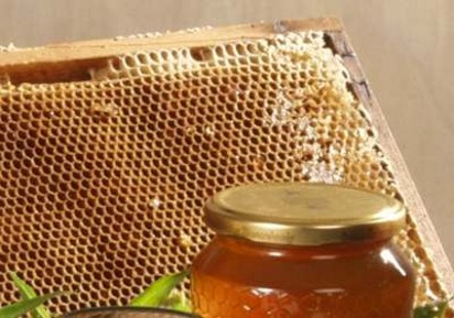 Settimana del Miele: dati negativi dal mondo delle api