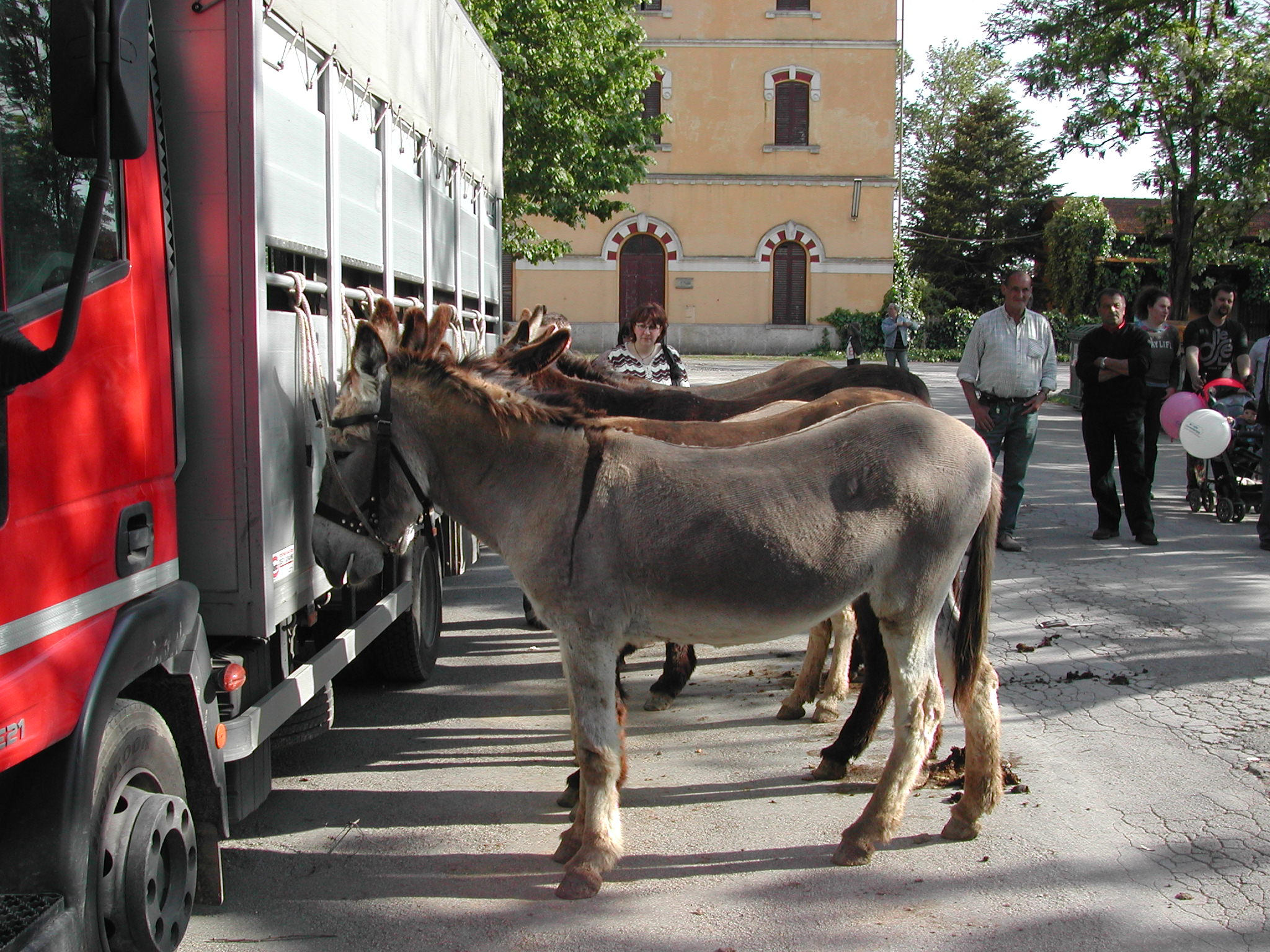 Sant’Angelo Scalo in festa fino all’8 maggio