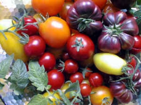 Confagricoltura: “Per produrre frutta aumenti dei costi dell’800%”
