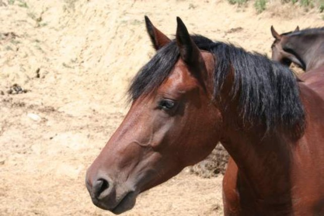 Mociano, pista impraticabile per pioggia