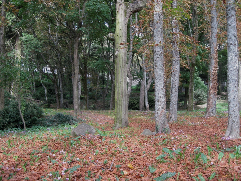 Giovani attori fanno rivivere il Gattopardo nel Bosco Isabella