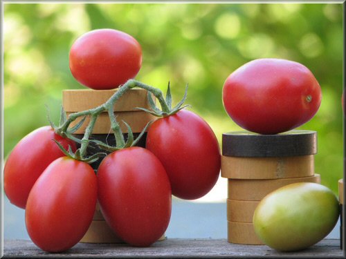 Cena Tricolore per celebrare i vincitori del Casato Prime Donne